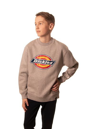 Dickies Pittsburgh Sweatshirt - Grey